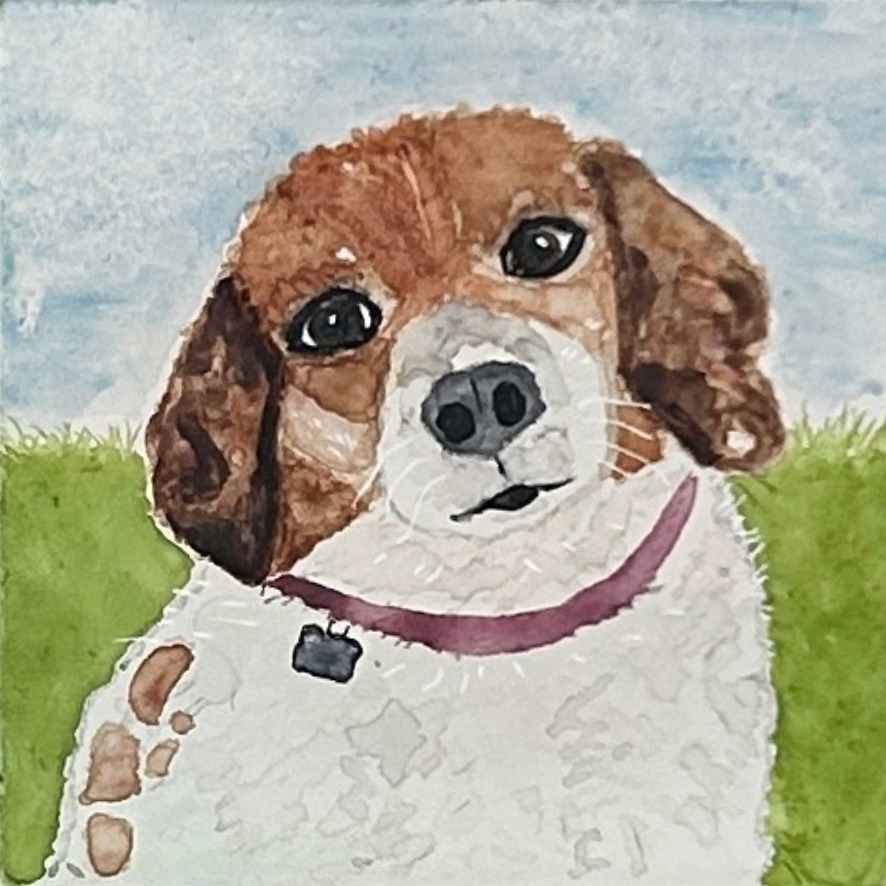 Lanie The Beagle Mix