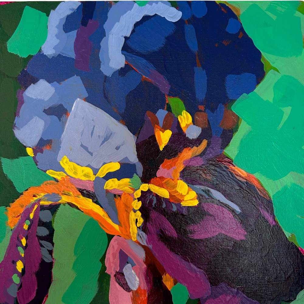 Iris from Fresh Paint