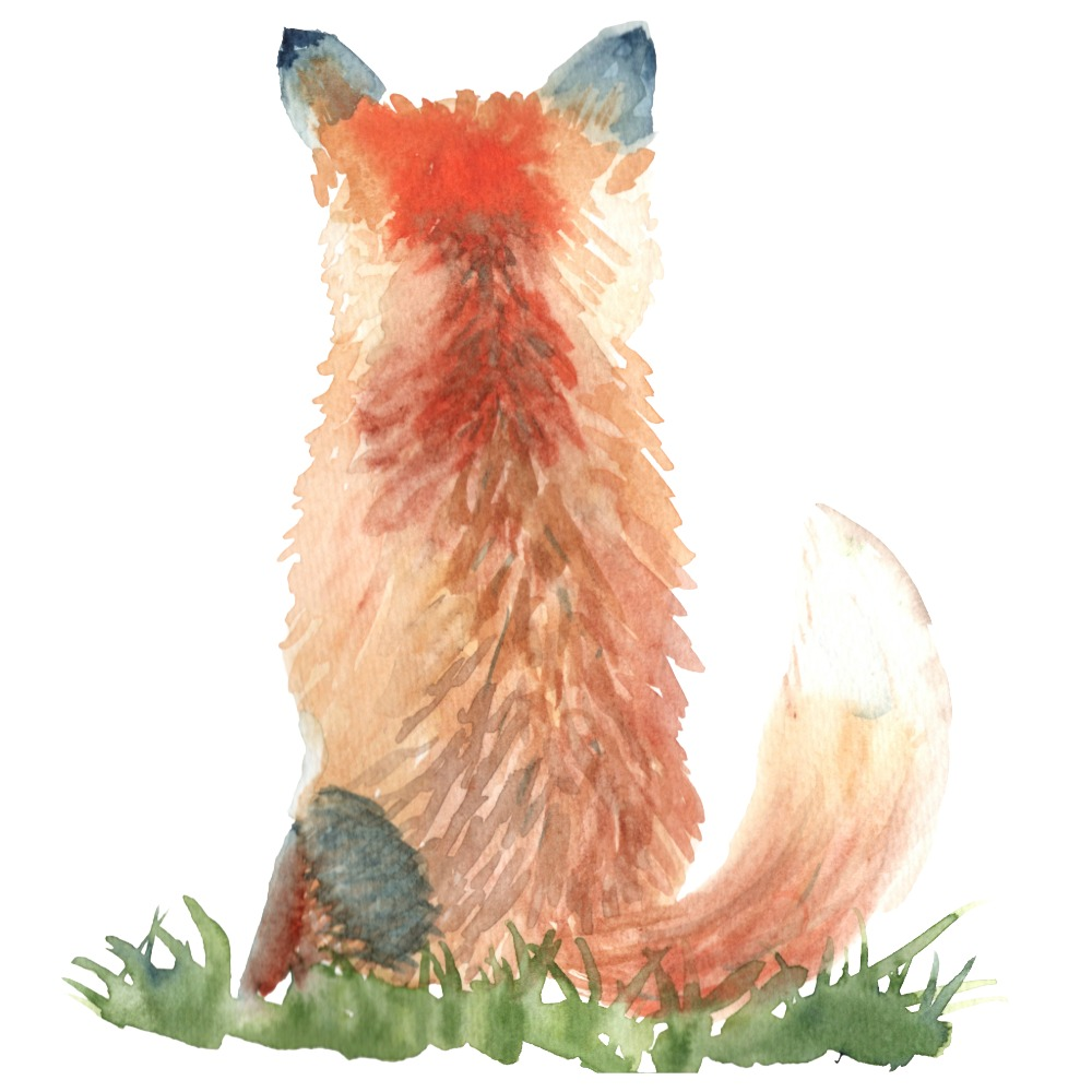 Watercolor fox from Watercolor Mastery - back