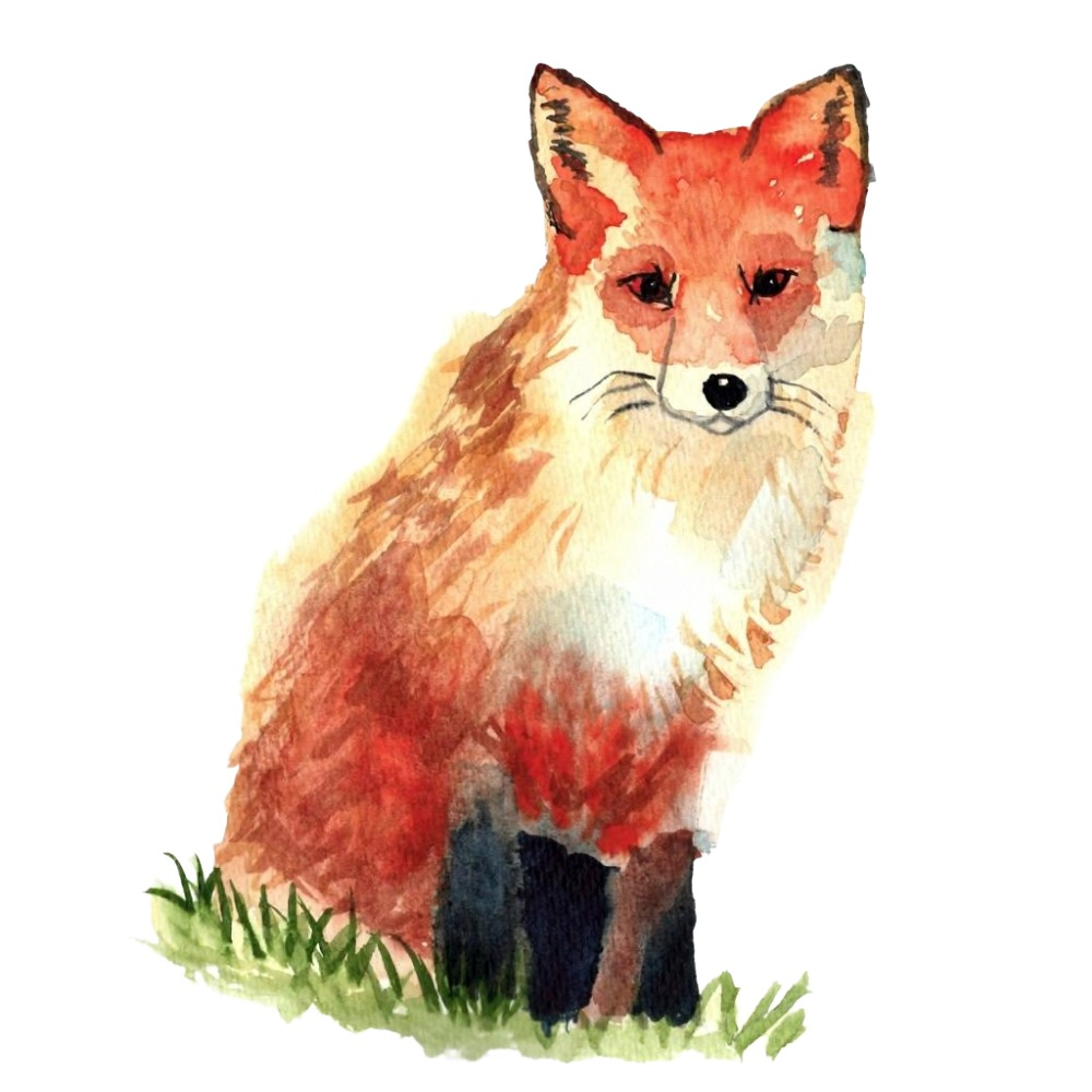 Watercolor Fox from Watercolor Mastery