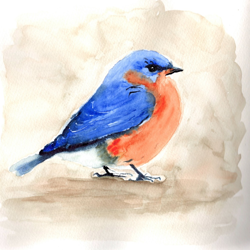 Watercolor Bluebird from Watercolor Mastery